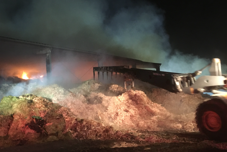 Spontaneously combusting hay causes barn fire at Newcastle dairy farm ...
