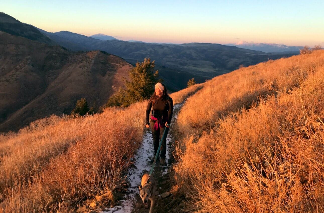 Heading to the Utah outdoors with your pet? Keep dogs on leash to help them – and wildlife – stay safe
