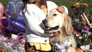 Comfort Dogs Offer Support to Mourners at Bend Elementary School