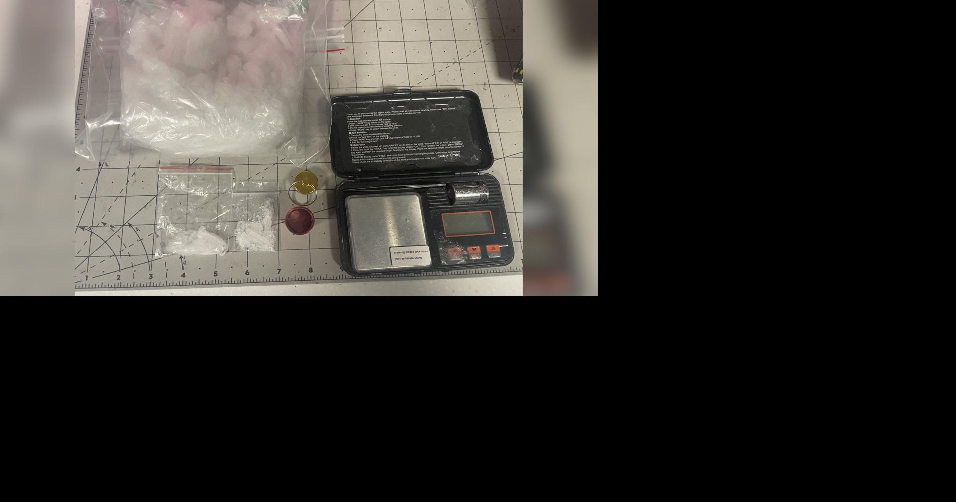 Drug K9 helps uncover 1.5 pounds of meth in Prineville arrest, police say