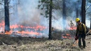 Prescribed Burns Planned Near Bend, Sisters, and La Pine This Fall