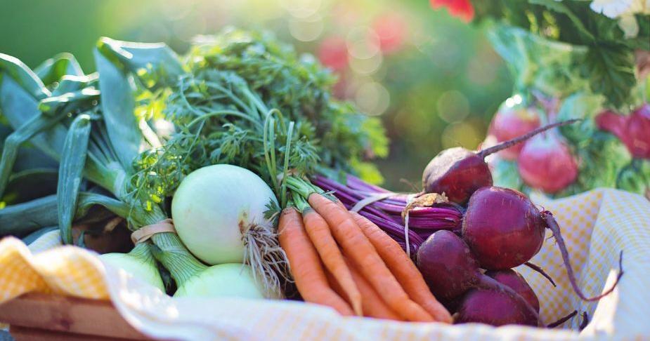 Over 300,000 Oregonians at Risk of Losing or Experiencing Reductions in SNAP Benefits Beginning November 1