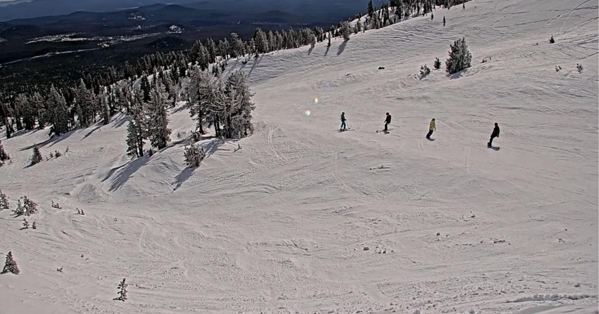 69af5bf20e44b.image.jpg?crop=1920,1008,0