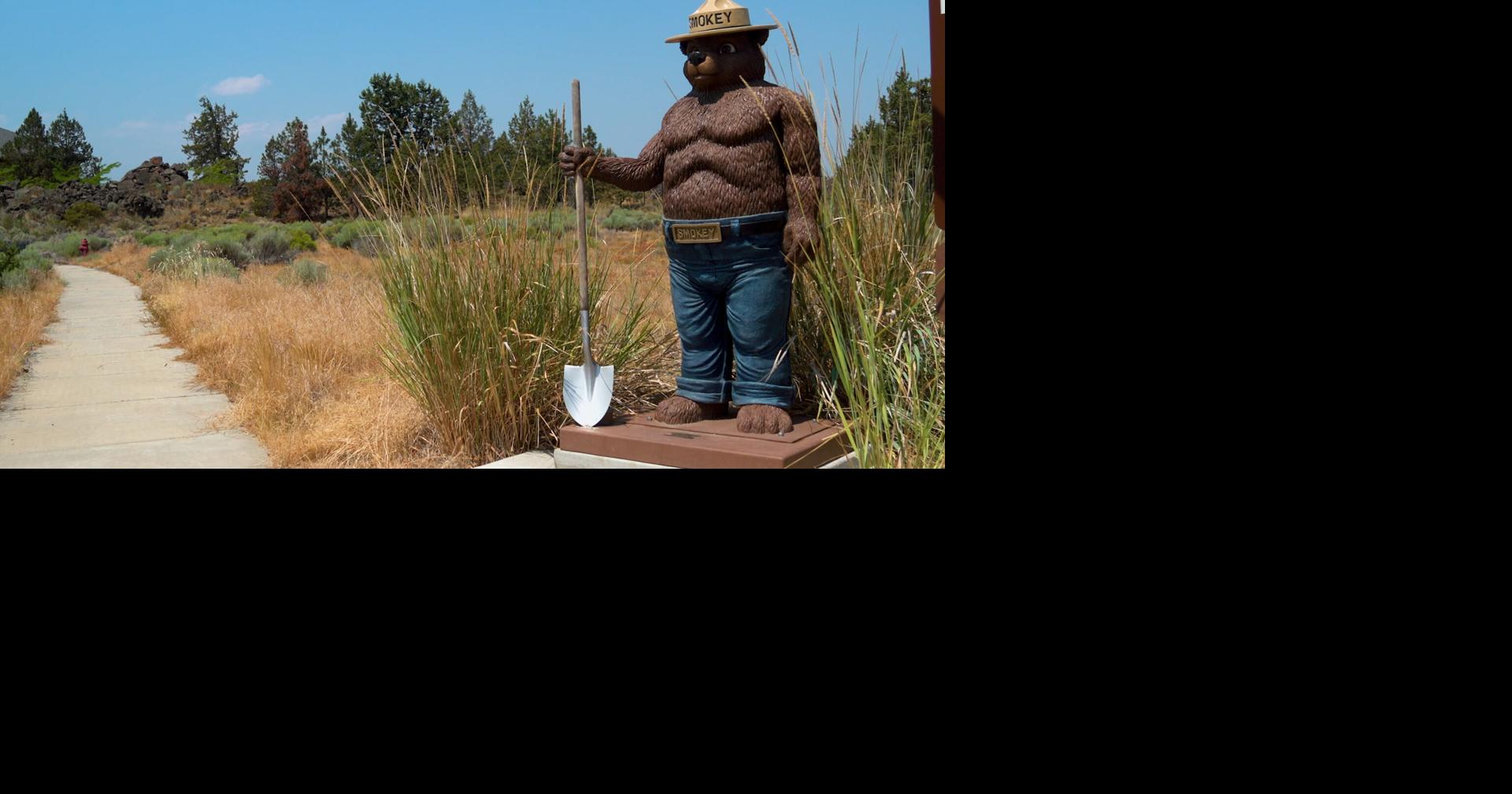 Deschutes National Forest seeks input on fuels project | Local News ...