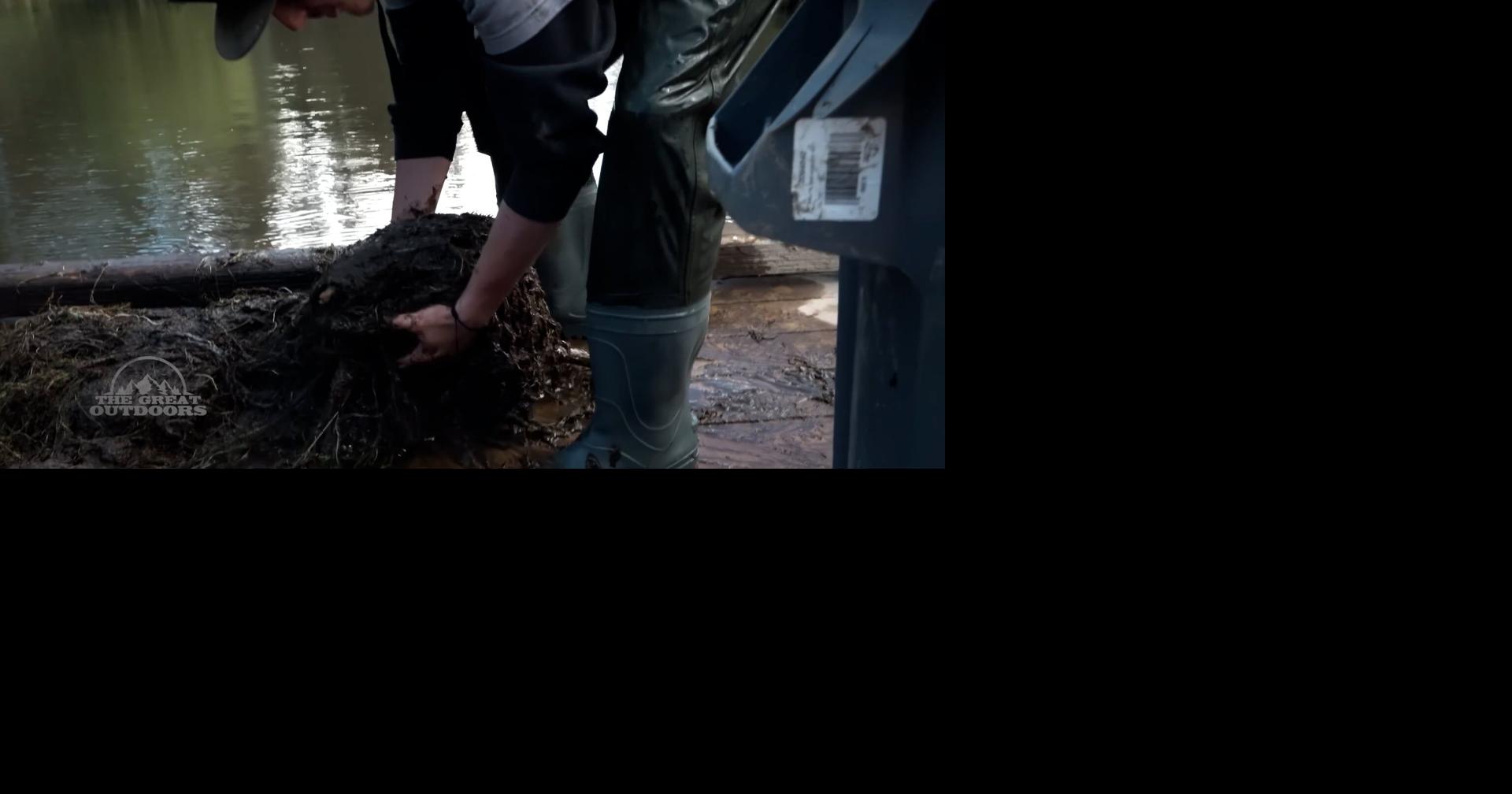 Read more'Heavy, slimy, stinky' weeds removed from Shevlin Pond. Here's what it took to clean them out
