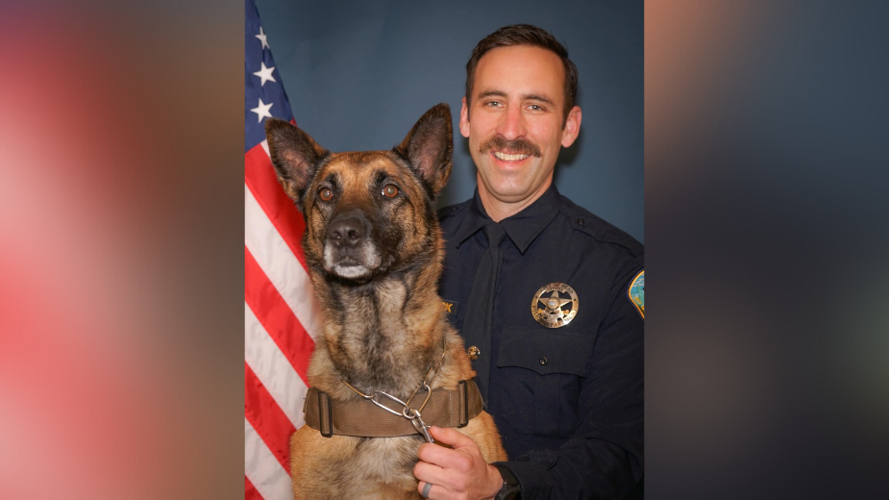 Bend PD and K9 Ladybug arrest Bend man for possession of heroin and