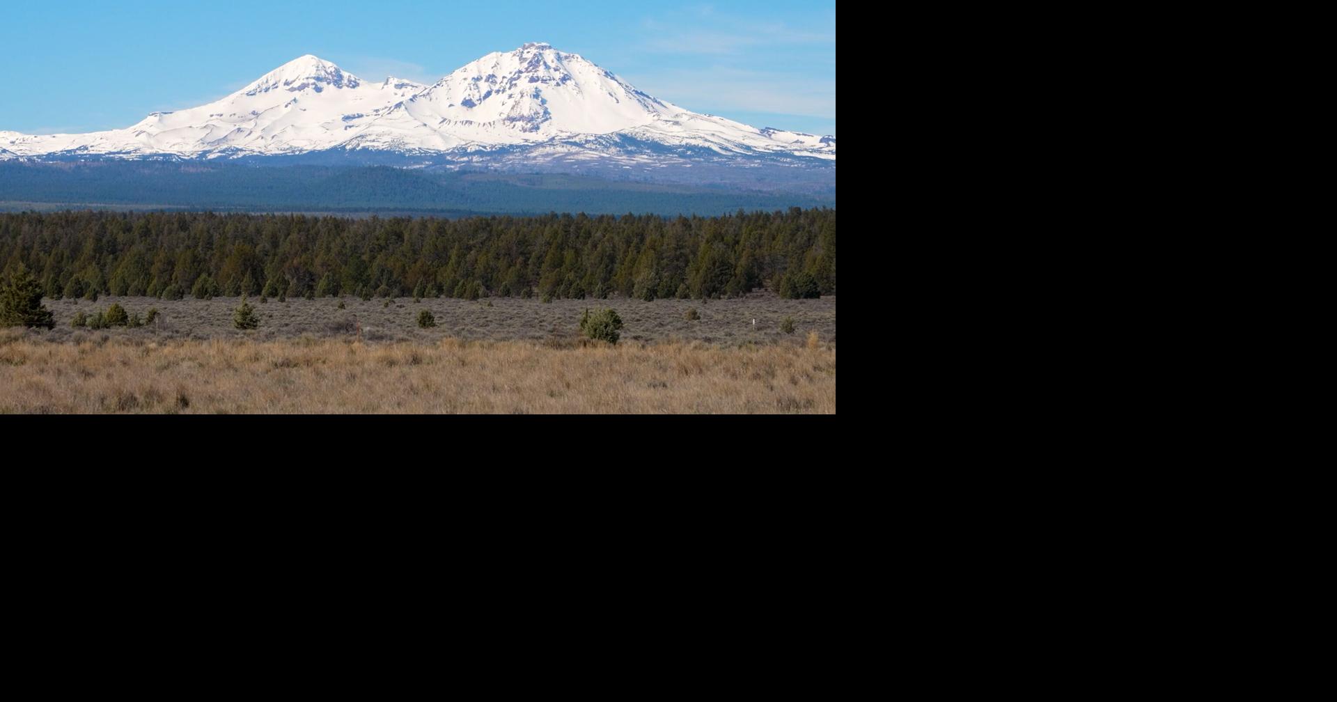 69bdd7fe58b7e.image.jpg?crop=1920,1008,0