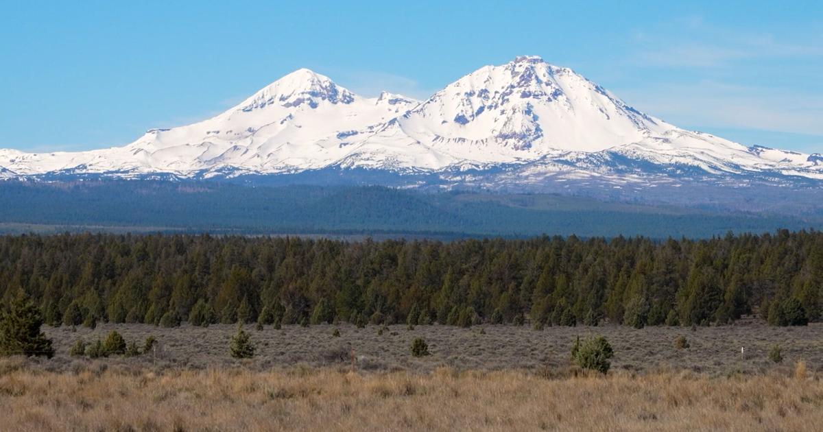 69bdd7fe58b7e.image.jpg?crop=1920,1008,0