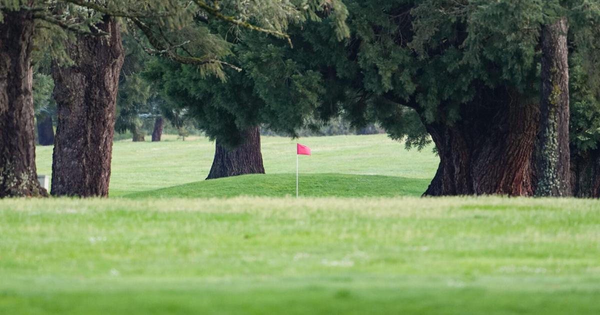 69e3a1214d34b.image.jpg?crop=1755,921,3,