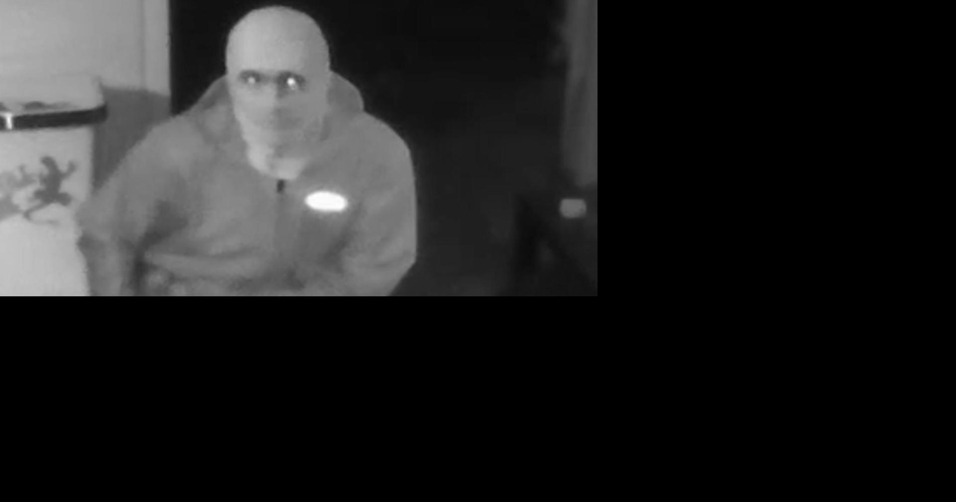 Valuable animals stolen from Bend's Reptile Zone; Caught on security