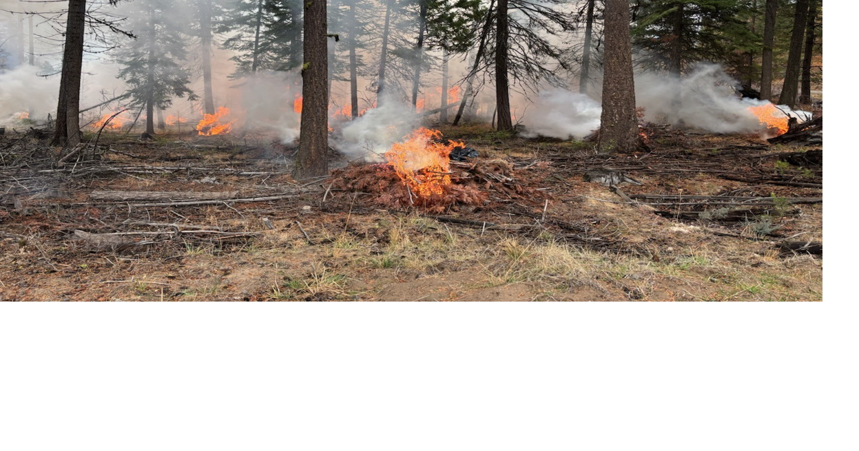Deschutes National Forest pile burning set to begin | Local News ...