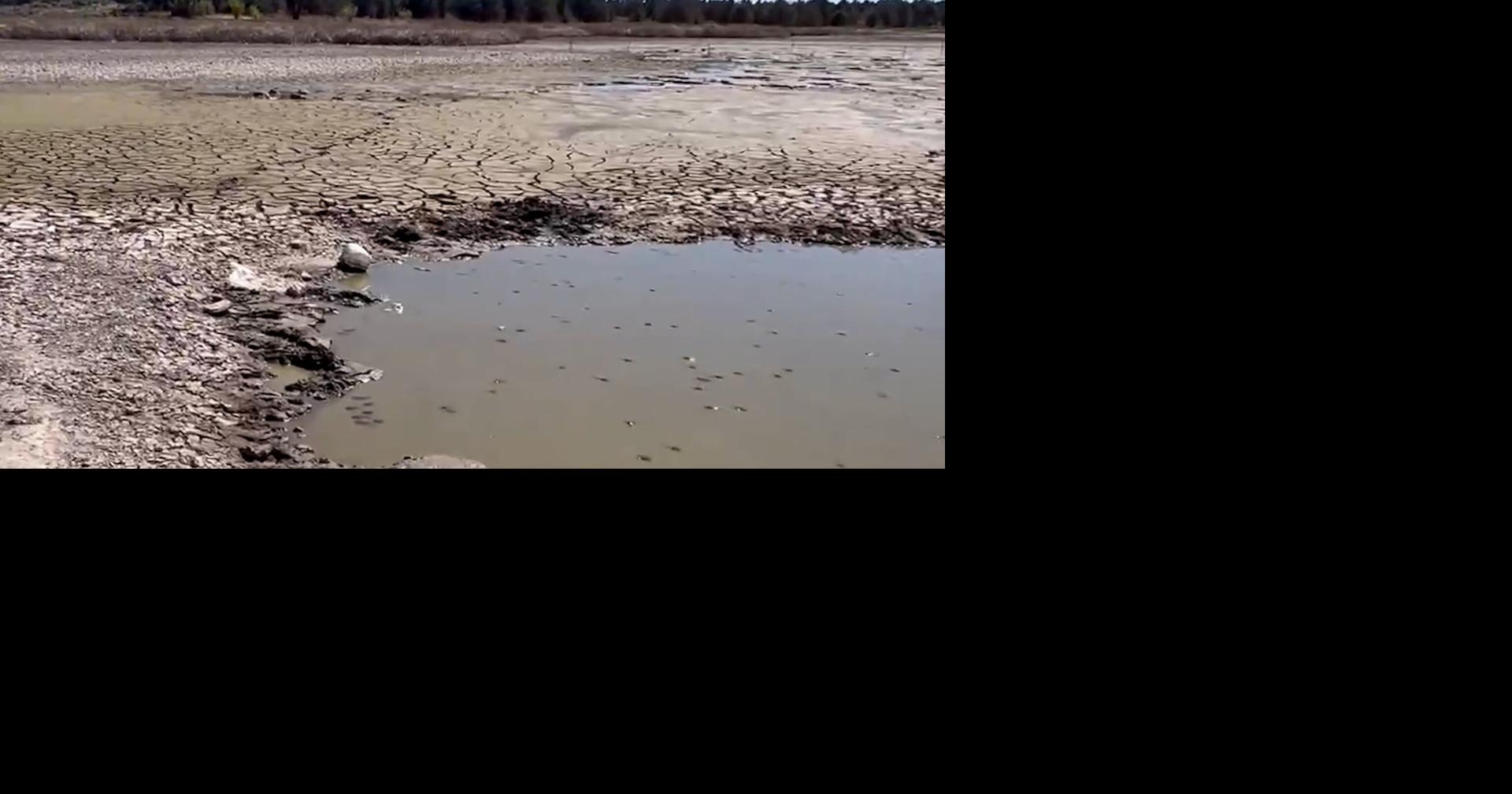 Drought leaves Mayfield Pond east of Bend almost dry