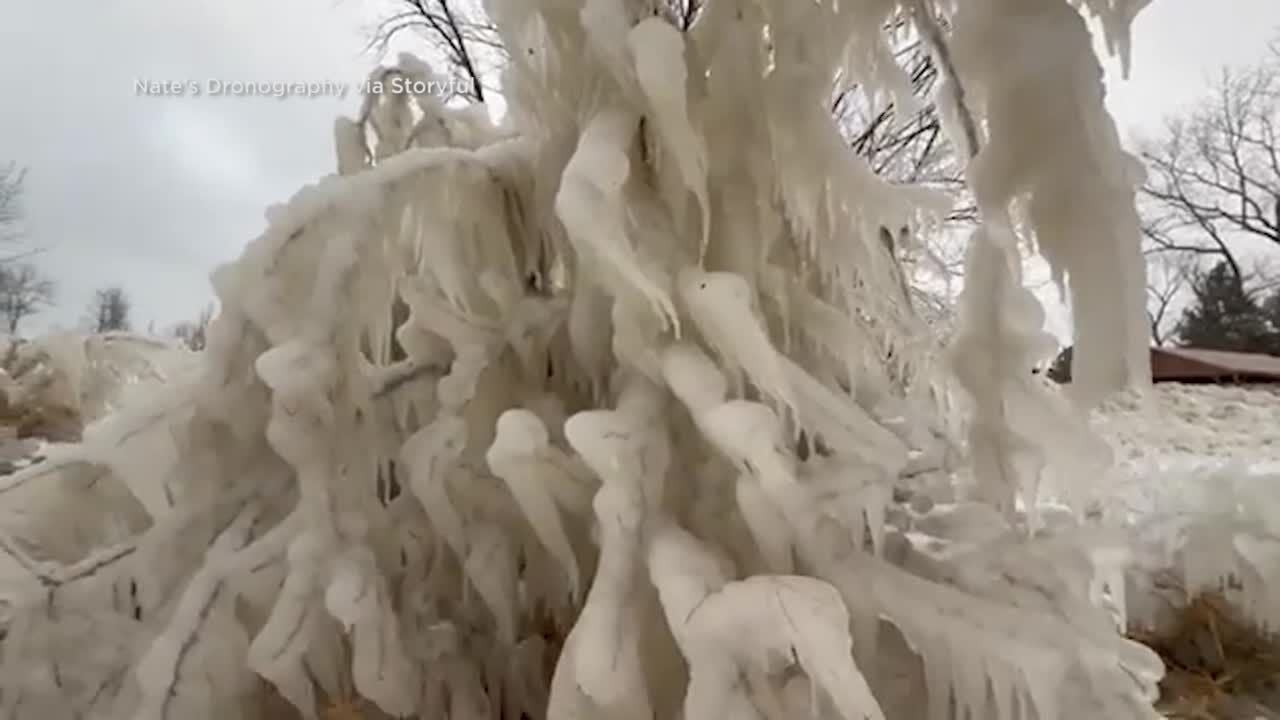 PHOTOS: Here's what happens when you stick a hose in a tree during a hard  freeze - Oak Cliff, image size:1280x720