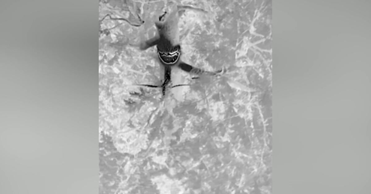 68a9445351af8.image.jpg?crop=1920,1008,0