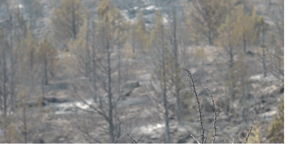 2 Warm Springs fires merge into massive 40,000-acre blaze