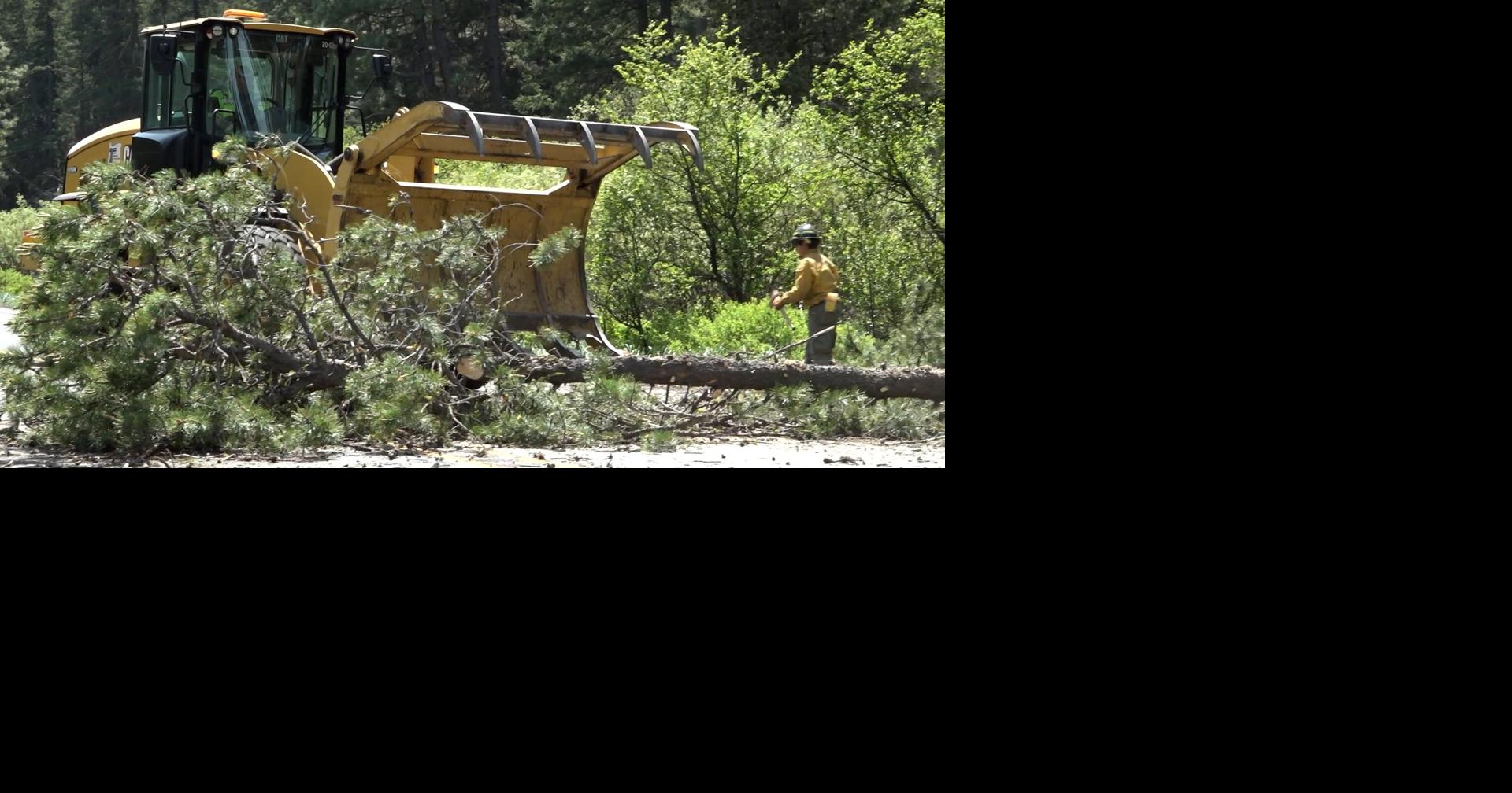 Crews removing 1,000 dangerous trees along Highway 26 near Warm Springs