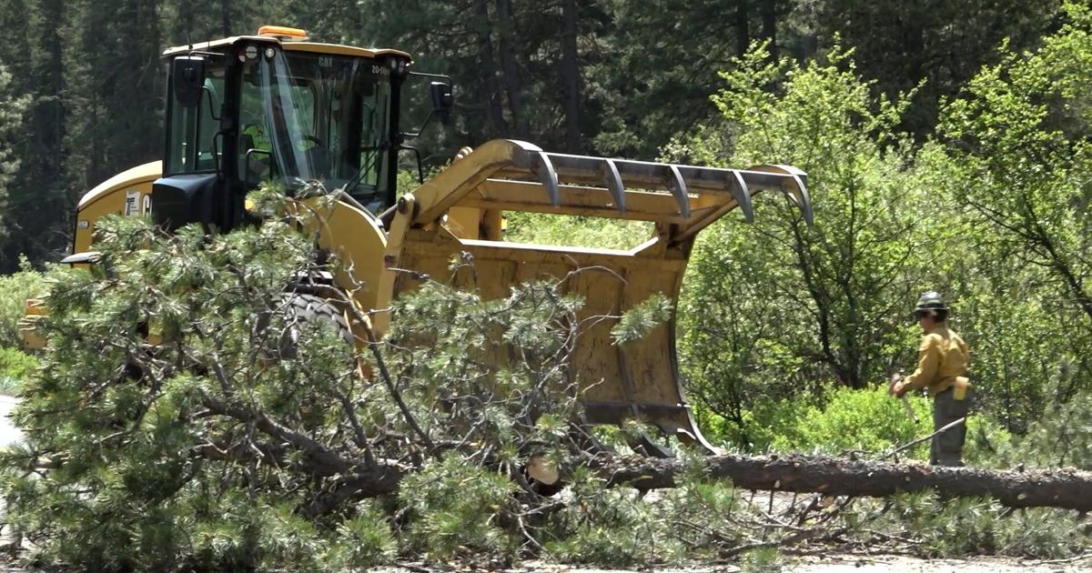 Crews removing 1,000 dangerous trees along Highway 26 near Warm Springs