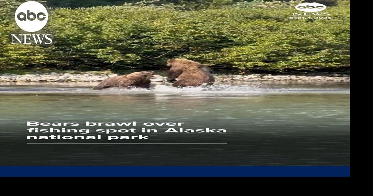 Bears brawl in Alaska