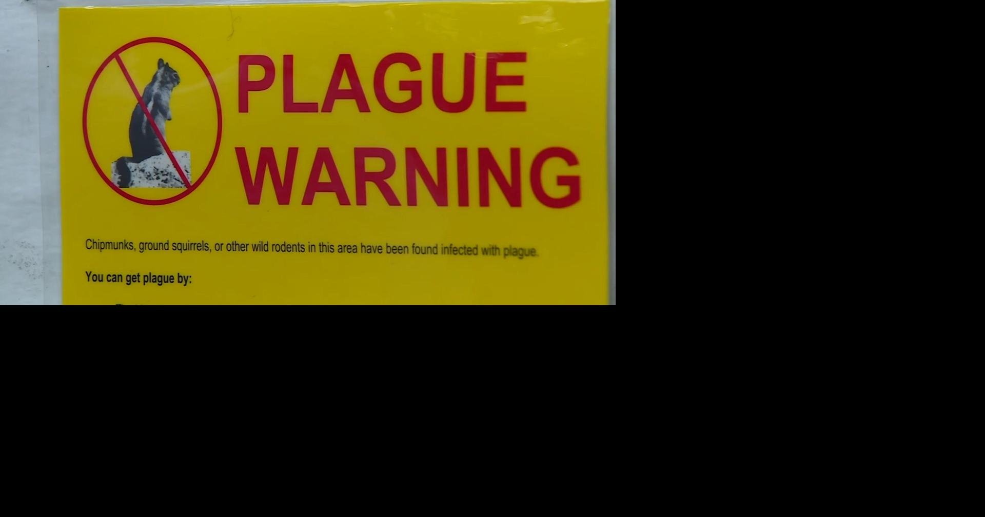 Central Oregon plague case How rare is it and how can you prevent it