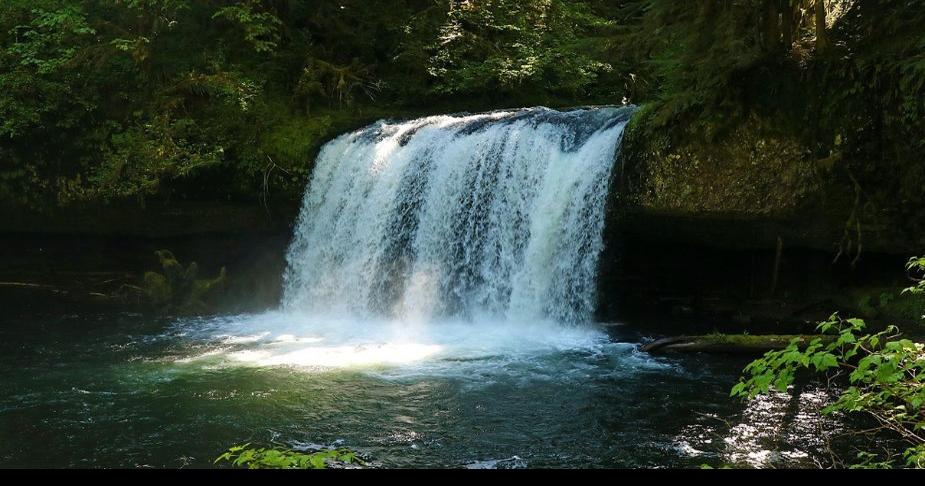 Oregon opens Butte Creek Falls recreation area | Pets, Animals and Nature