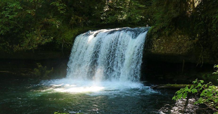 Oregon opens Butte Creek Falls recreation area | Pets, Animals and Nature Oregon opens Butte Creek Falls recreation area | Pets, Animals and Nature