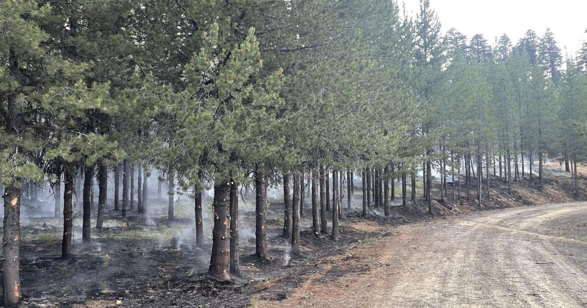 Inversion Fire Weather Crazy Creek Fire containment grows to 28%; inversion helps moderate ...