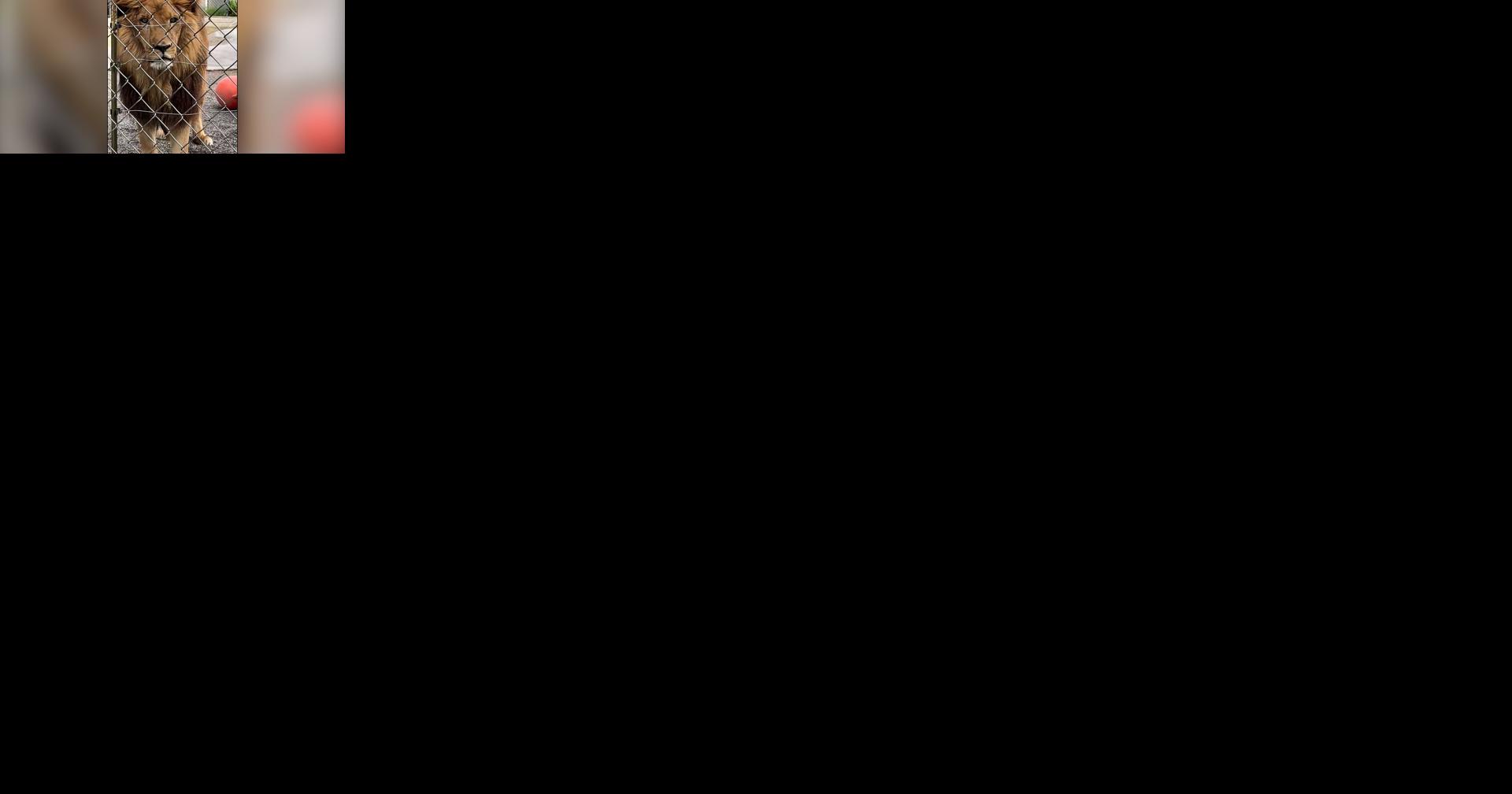 682b780459948.image.jpg?crop=1920,1008,0