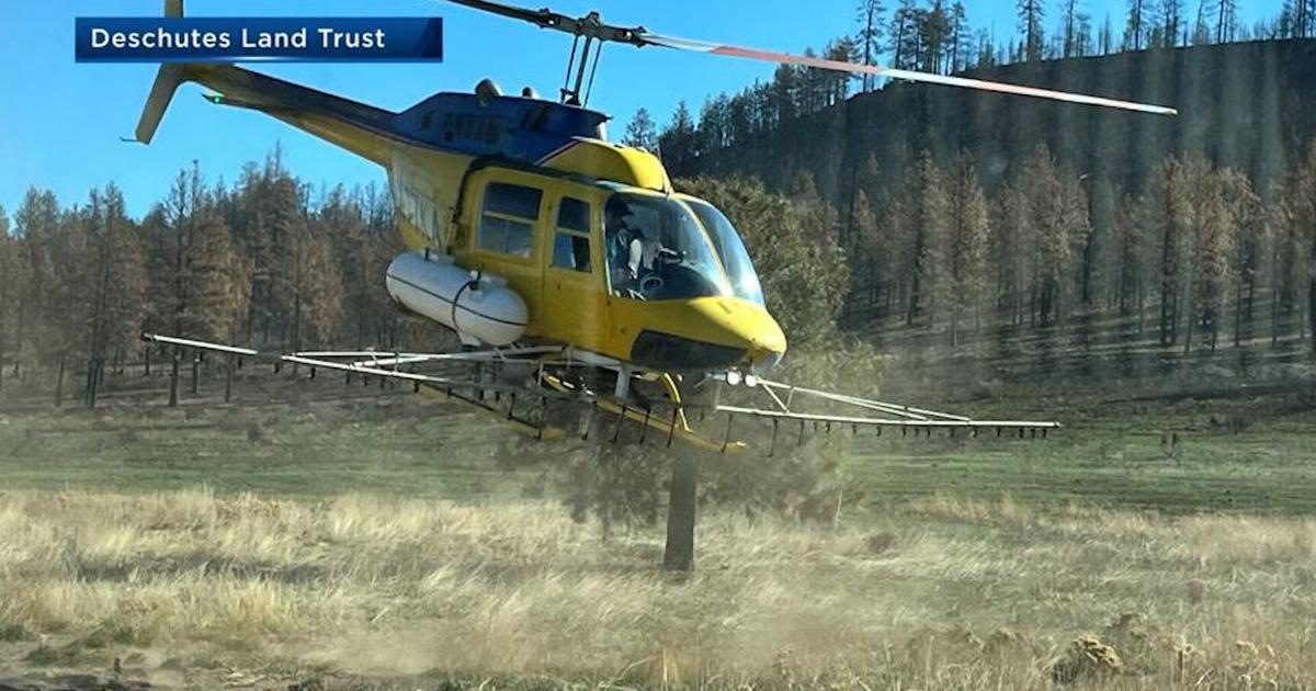 Priday Ranch Cram Fire recovery starts at Priday Ranch | Madras / Warm Springs News ...