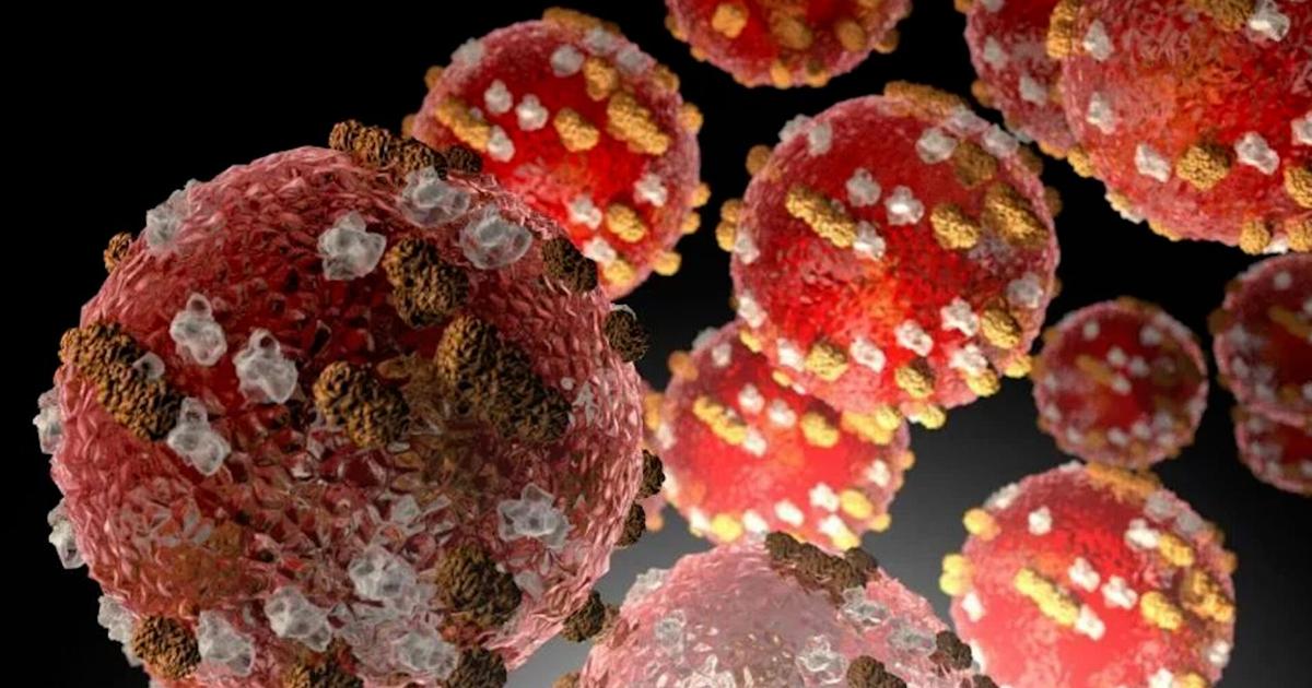 6962972a69ab8.image.jpg?crop=1920,1008,0