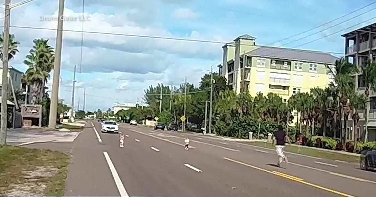First Driver Scare Dashcam captures driver rescuing toddlers in Florida highway scare ...
