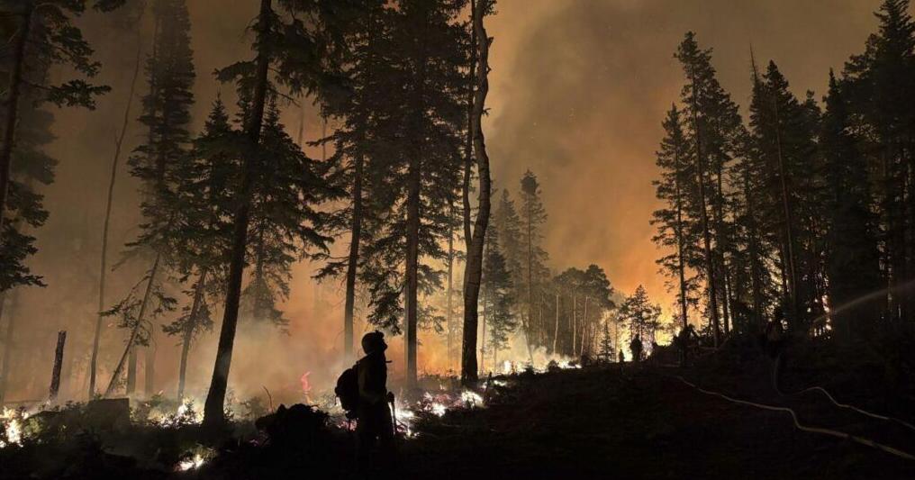 6938740d4148d.image.jpg?crop=1016,533,2,