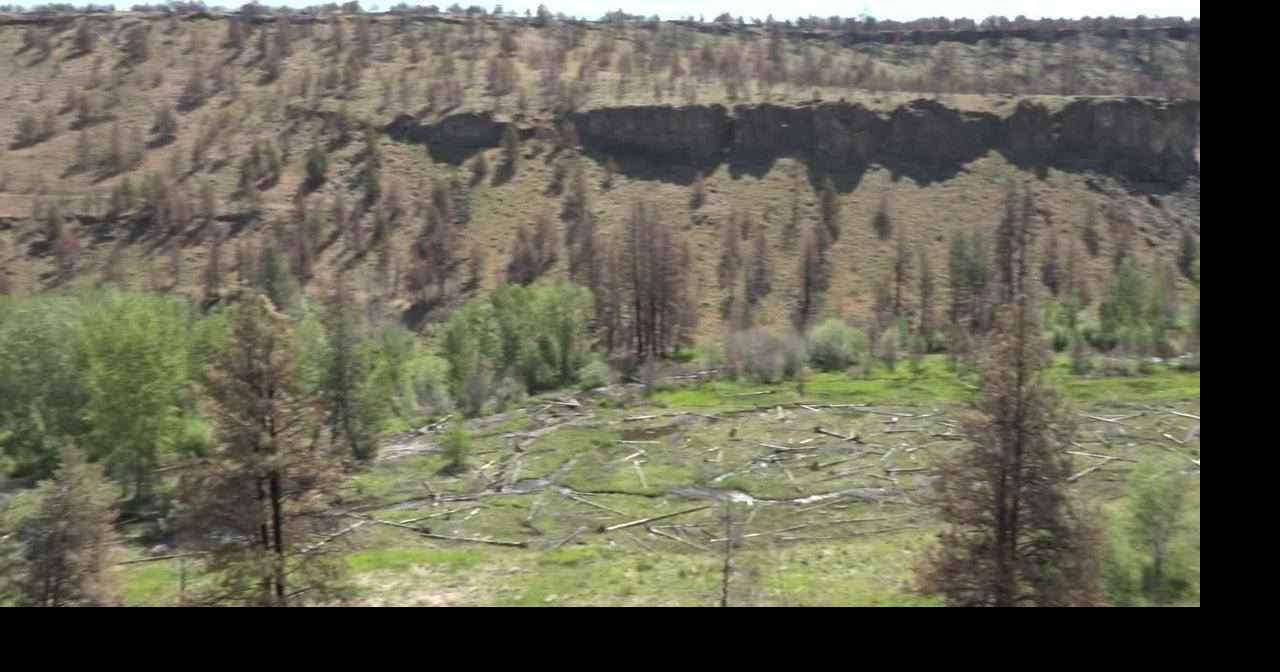 Whychus Creek restoration project passed Flat Fire test with flying colors