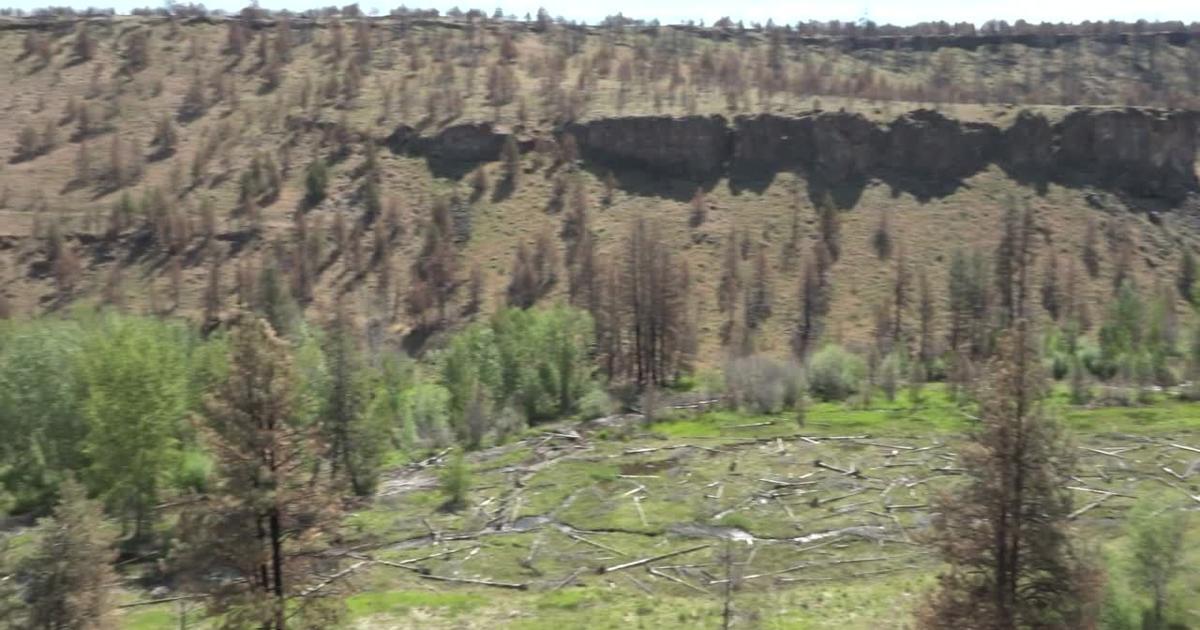 Whychus Creek restoration project passed Flat Fire test with flying colors