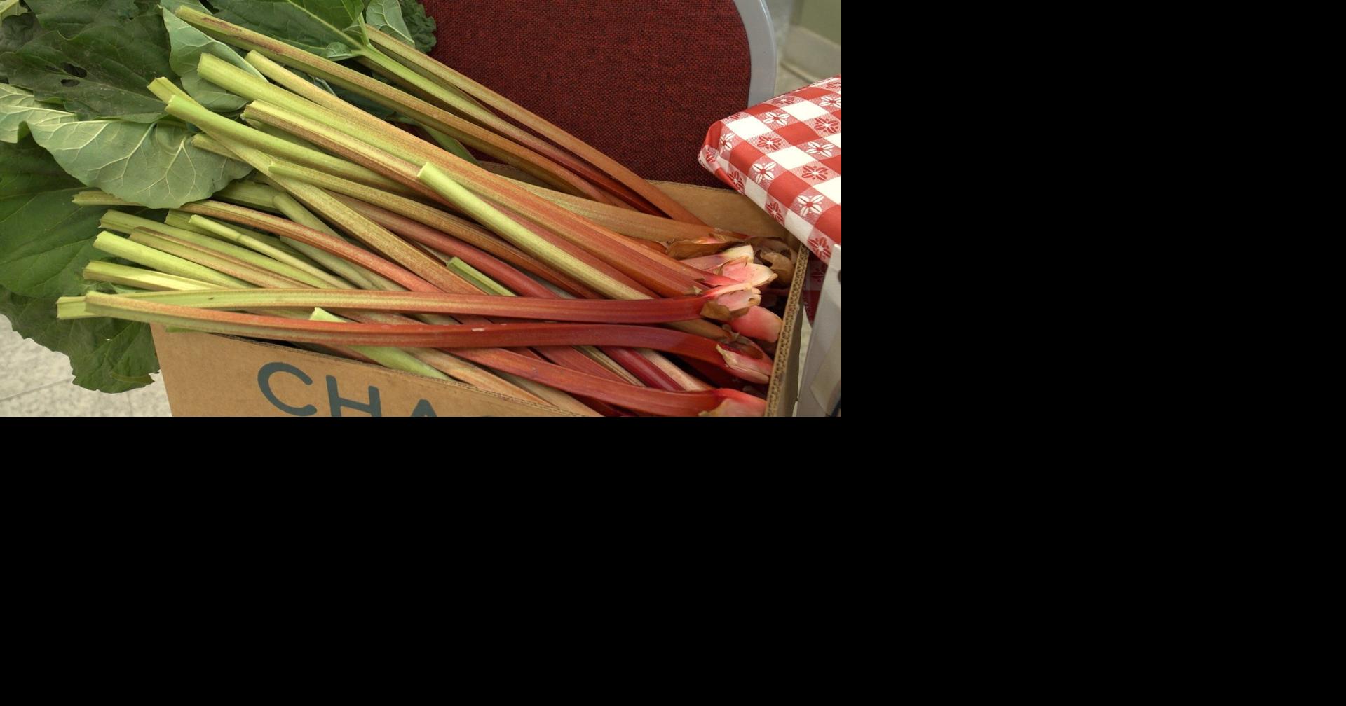 La Pine Rhubarb Festival brings thousands to annual event La Pine