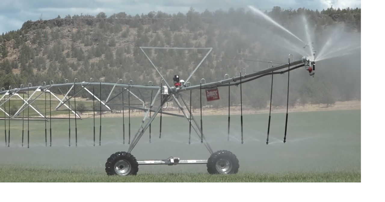 Hundreds of local farmers are losing water as curtailments of junior rights take hold