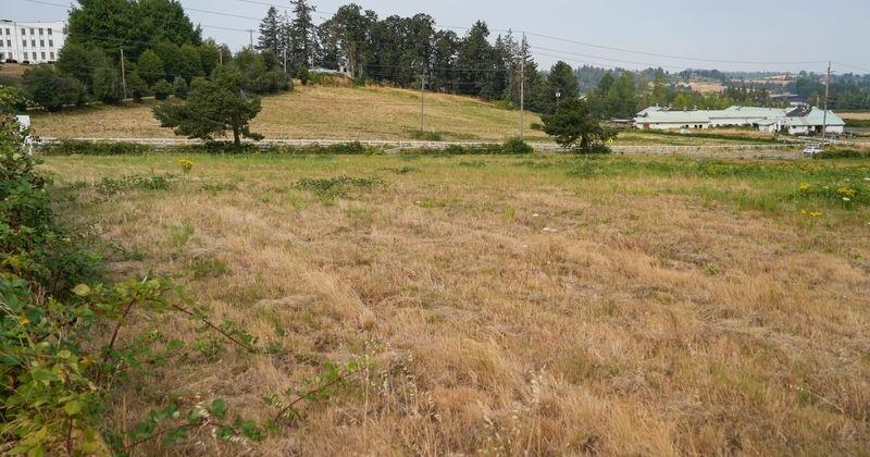 Kotek pulls the plug on Salem data center land sale