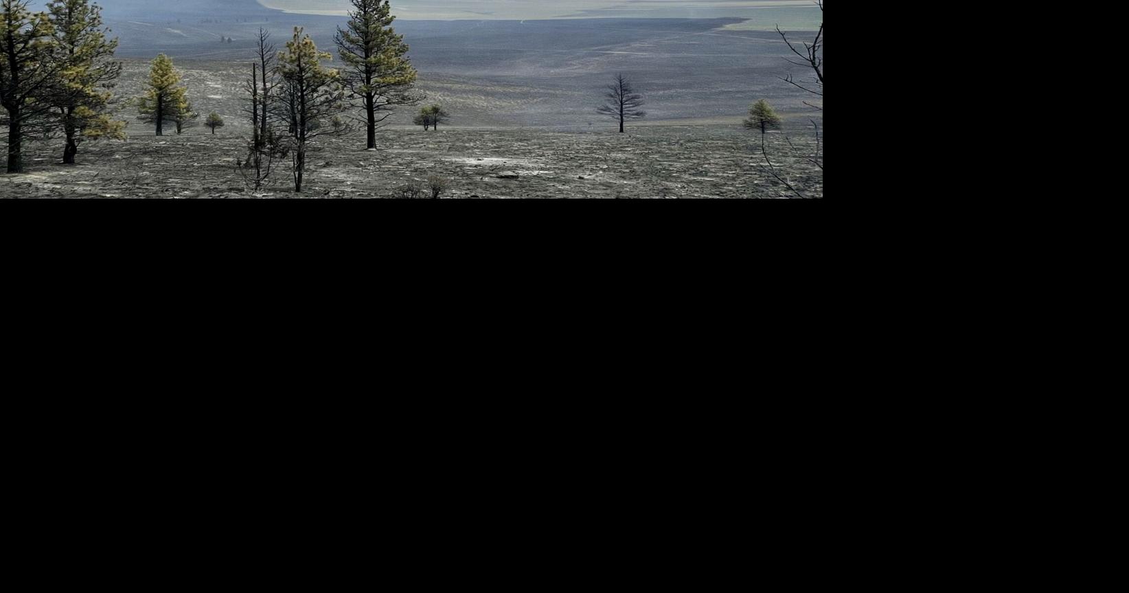 Read morePine Mountain Fire prompts emergency BLM land closures in Deschutes County