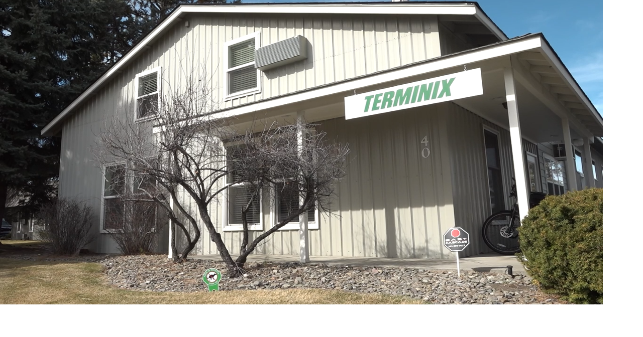 69b8b6082f7a3.preview.png?crop=1280,672,