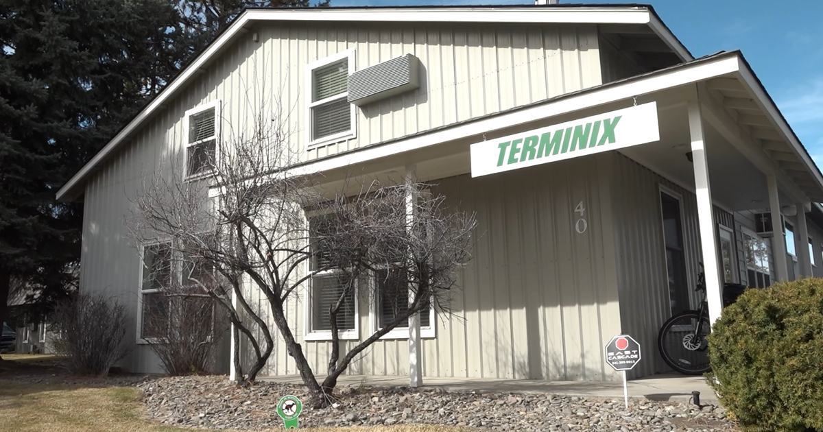 69b8b6082f7a3.preview.png?crop=1280,672,