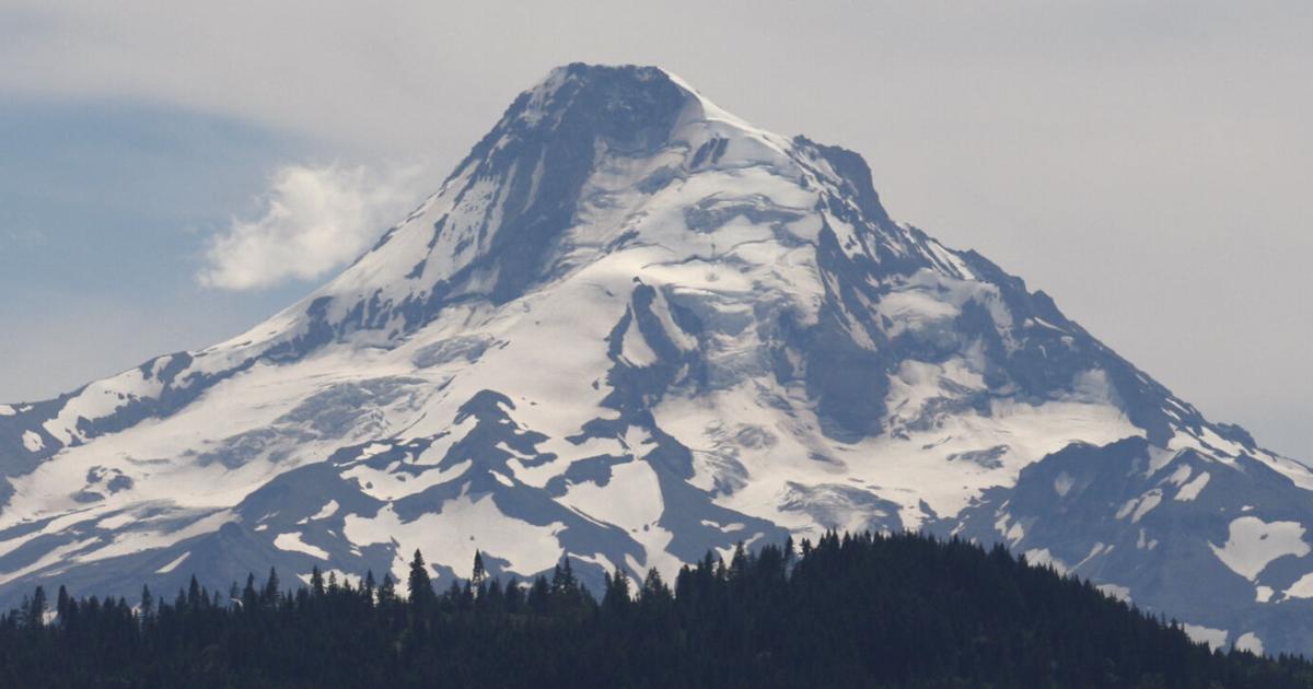 69405586b49bd.image.jpg?crop=1394,732,59