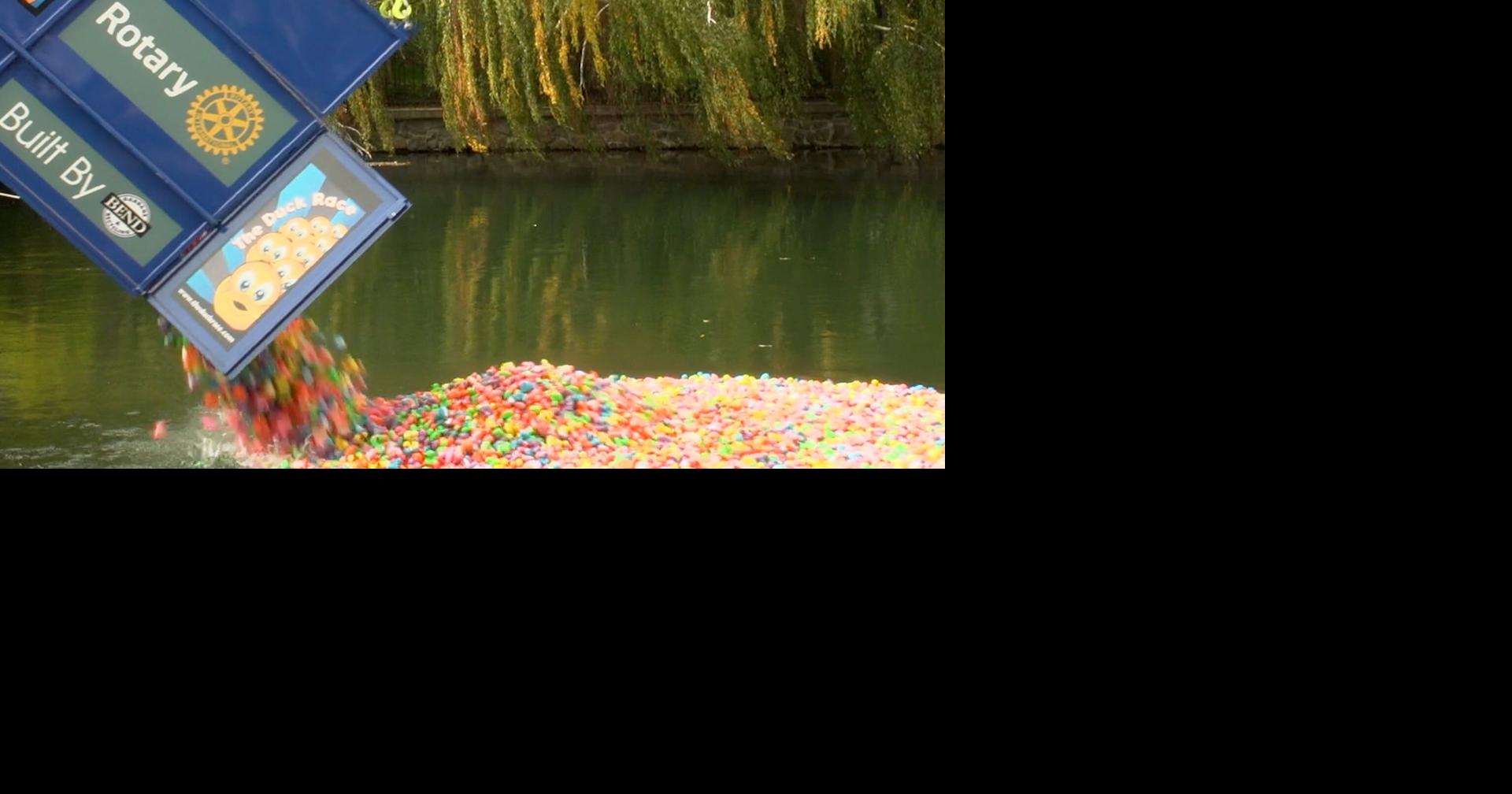 Bend’s Great Drake Park Duck Race returns for 37th year