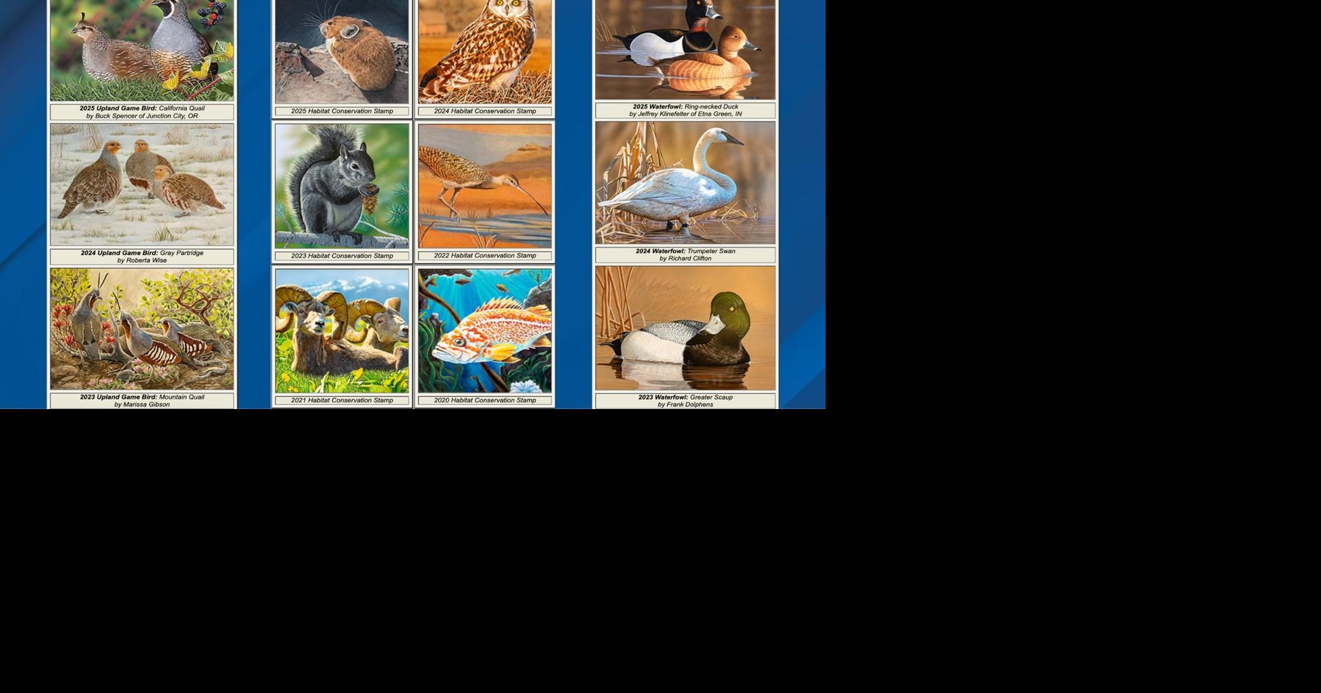 ODFW announces 2026 wildlife art contest | Oregon / Northwest ...