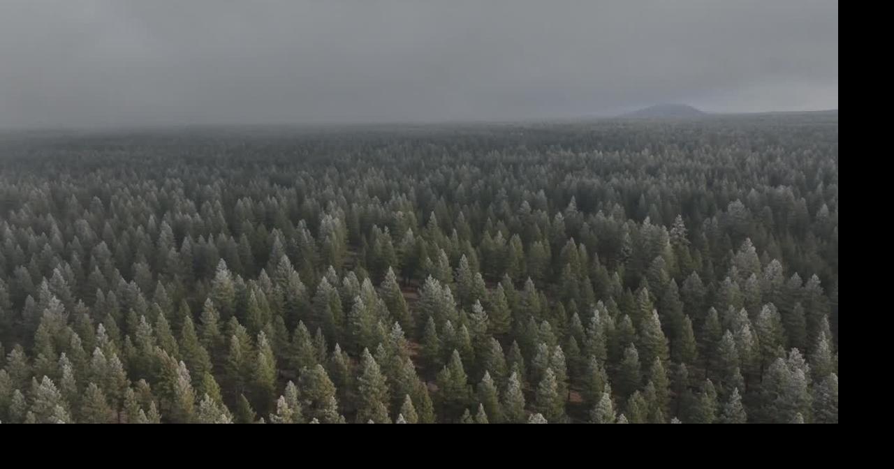 Fog and sun in Central Oregon