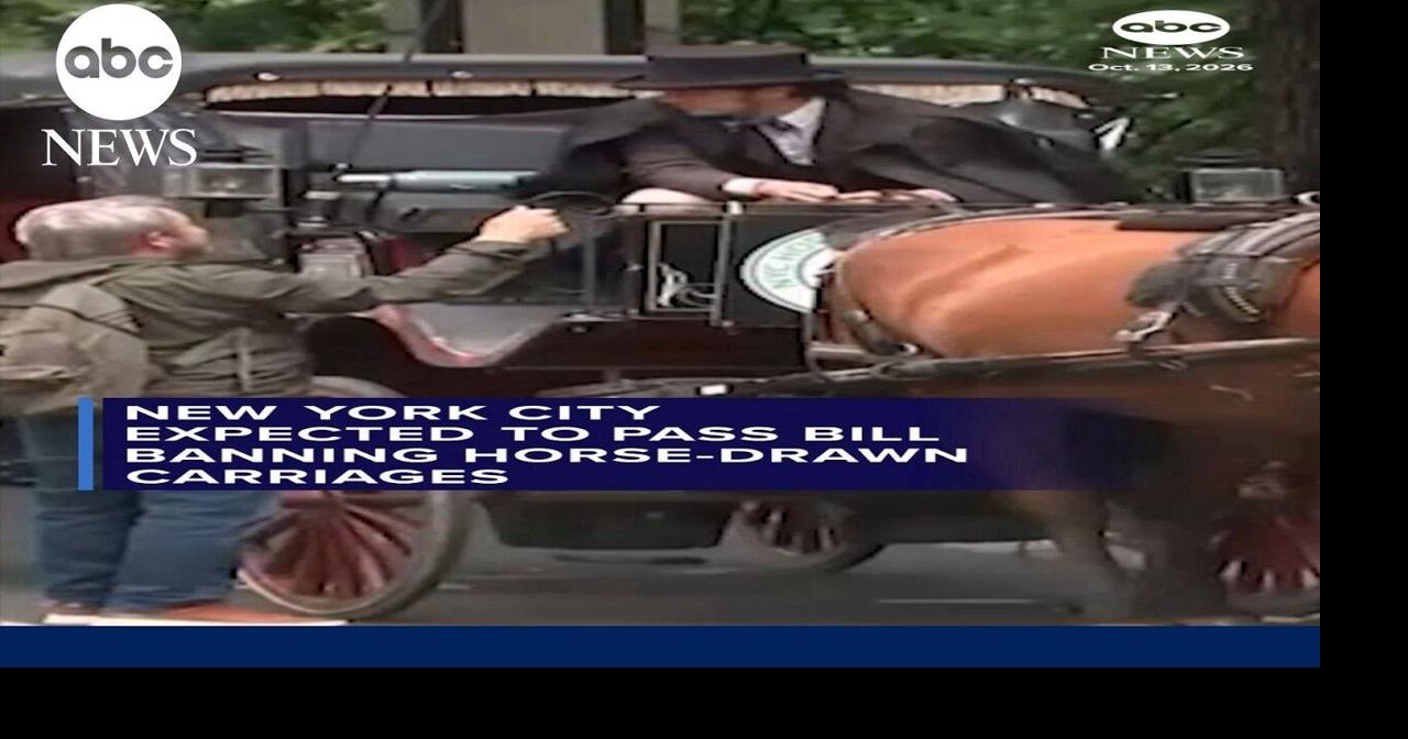 New York City expected to pass bill banning horse-drawn carriages ...