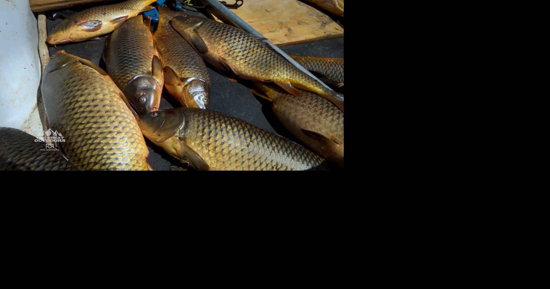 Read moreInvasive carp discovered in Oregon reservoir threaten prized fishery