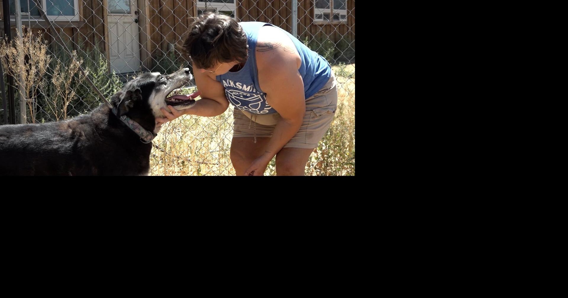 11 dogs rescued by senior dog rescue | Local News | centraloregondaily.com