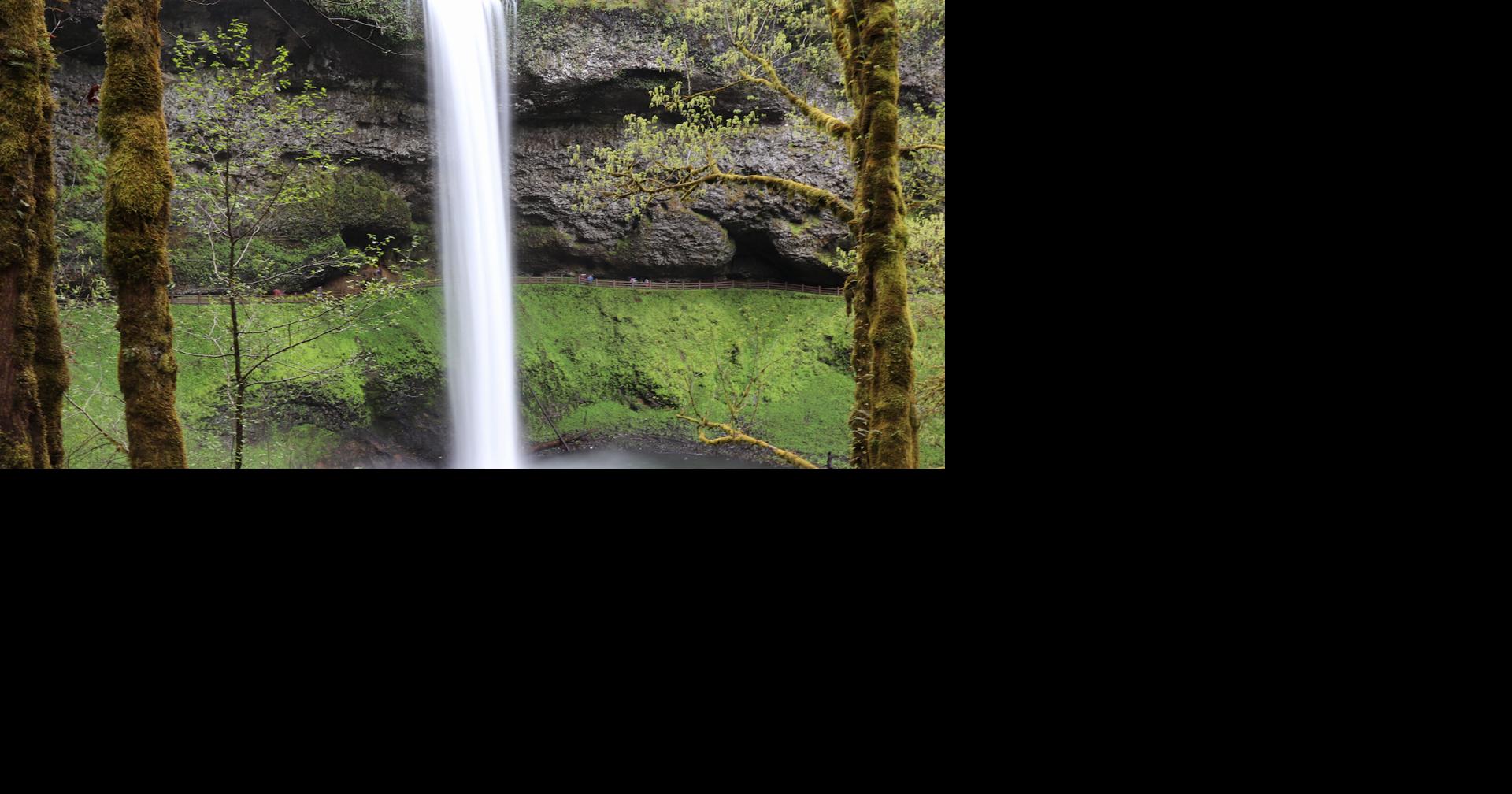 685055cde344c.image.jpg?crop=1920,1008,0