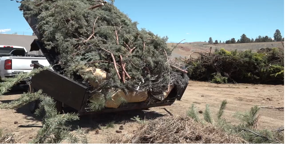 Free yard debris disposal to protect your home from fire ends Saturday at Knott Landfill