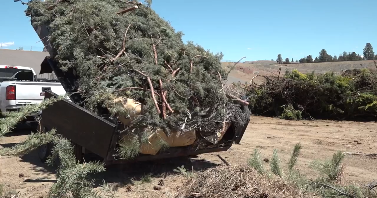 Free yard debris disposal to protect your home from fire ends Saturday at Knott Landfill