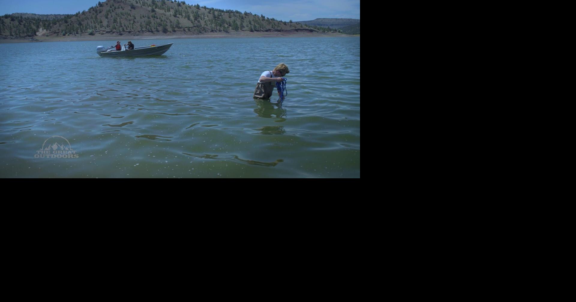 Read moreDiscovery of dead mussel could lead to Prineville Reservoir closure: What officials are doing